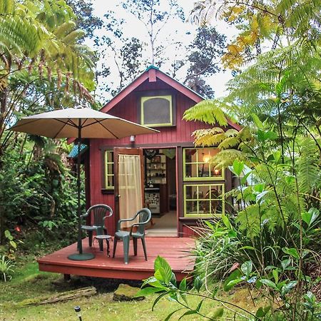 Ferny Hollow: Romantic Rainforest Cottage Волкано Екстер'єр фото