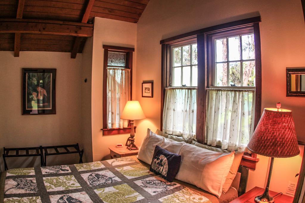 Ferny Hollow: Romantic Rainforest Cottage Волкано Екстер'єр фото