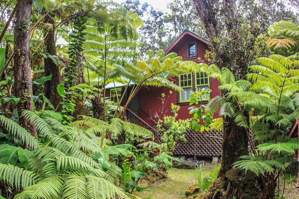 Ferny Hollow: Romantic Rainforest Cottage Волкано Екстер'єр фото